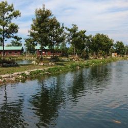 真夏でも釣れる！ ～フィッシングパーク高島の泉～